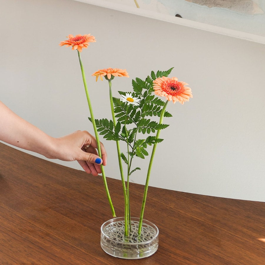 Äng Pond Vase | Klong